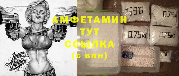 ПСИЛОЦИБИНОВЫЕ ГРИБЫ Баксан