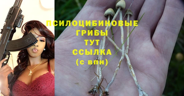 ПСИЛОЦИБИНОВЫЕ ГРИБЫ Баксан