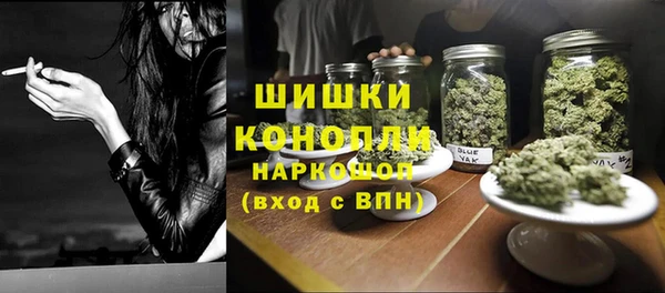 ПСИЛОЦИБИНОВЫЕ ГРИБЫ Баксан
