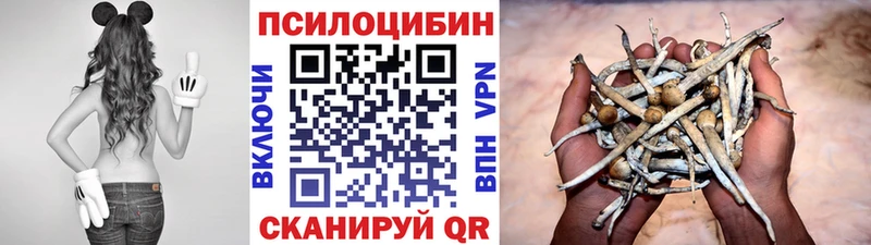 Псилоцибиновые грибы Psilocybe  Липки 